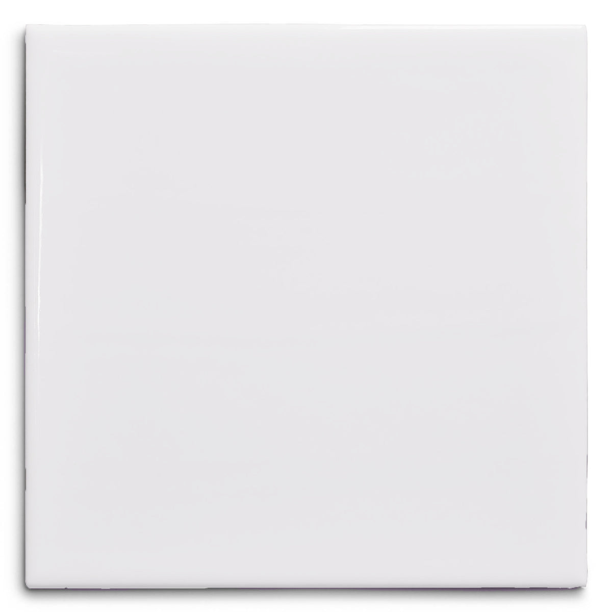 Teardrop File Under Pop teardrop-file-under-pop